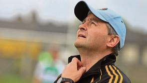 Final four bid for Limerick Premier IHC final places