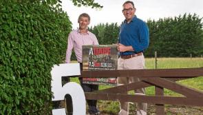 'It's fairly gruesome!': 2,000 to take part as Adare To Survive returns