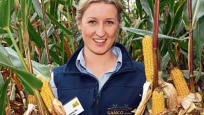 Samco and Shines to host open day in County Limerick