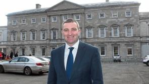 Latest garda allocation to Limerick is 'derisory' – Niall Collins
