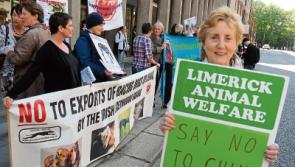 Force of LAW for good: Limerick woman Marion Fitzgibbon's work for animals chronicled
