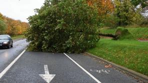 #OPHELIA: Road safety alert warns Limerick roads will be 'treacherous' after storm