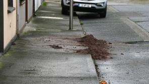 Limerick homes evacuated as controlled explosion is carried out on grenade