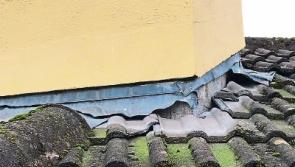 Lead flashing stolen from roof of Limerick rugby club