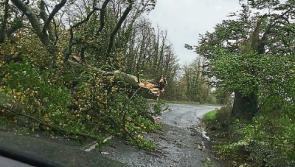 #OPHELIA: Limerick farmers share generator&nbsp;to get cows milked