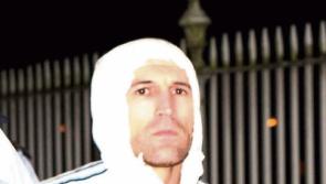 DPP yet to decide if Limerick man charged over tiger kidnapping will face retrial