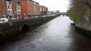 Members of the public involved in rescuing man from river in Limerick