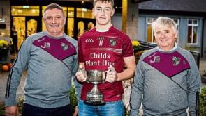 Galtee Gaels win first Limerick junior title since 1988 in fine style against Croom