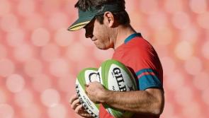 New Munster coach Johann van Graan arrives November 20