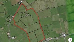 'Cracking' County Limerick farm makes close to €13k an acre