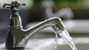 Limerick GAA clubs warned about bacteria dangers due to stagnant water during Covid lockdown