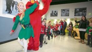 Santa to jet in as 2,000 take to the skies above Shannon Airport