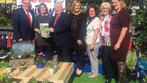 Funding boost for Tidy Towns groups across Limerick