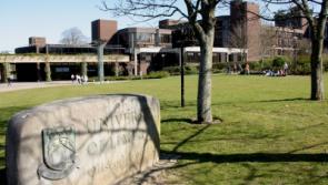 University of Limerick students' union aware of alleged racist incident