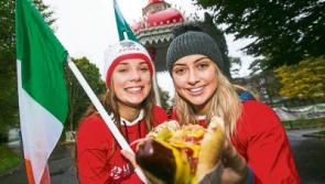 Limerick councillor: 'Free access to city parks must be kept'