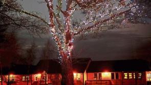 Light up a Memory for a loved one at Limerick's Milford Hospice