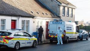 Limerick gardai in fresh appeal for 'another piece of puzzle' in murder of Rose