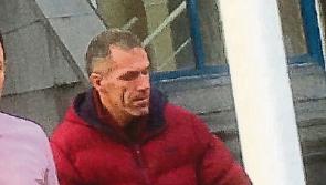 Shotgun was found after Limerick car crash