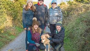 Walk on the wild side on New Year’s Day at Knockfierna