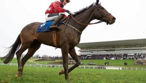 Increased attendance at Limerick Christmas Racing Festival