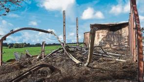 Court hears that men set fire to Limerick hay barn while 'showing off'