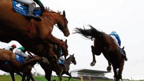 Green light for Limerick Christmas racing as attendances reach 25,000