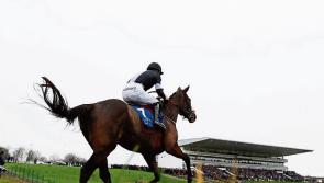 Limerick Racecourse stages behind-closed-doors National Hunt card