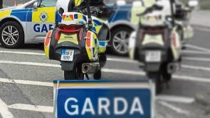 UPDATE: Arrest made after discovery of man's body in County Limerick