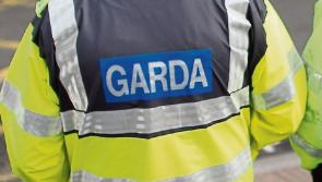 Man who demanded to speak to an 'Irish' guard in Mayo fined €300