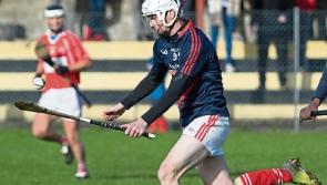 Limerick junior hurling champions Bruff back in Munster semi final