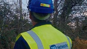 Hundreds of Limerick homes without power as weather warning remains in place