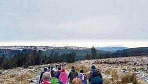 Calories burnt by Limerick walkers on snowy Slieve Feilims