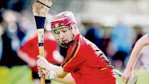 Harty Cup heartbreak for Limerick's Hospital in loss to Templemore