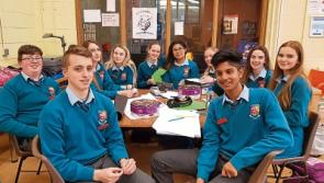Limerick pupils get an A for mental health awareness