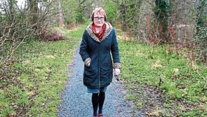 Councillor seeks €25,000 investment in Limerick's Baggott Estate