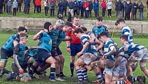 Brave Castletroy College exit Munster Schools Senior Cup at Rockwell's hands