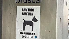 'It's getting worse': Limerick resident calls for crackdown on dog fouling