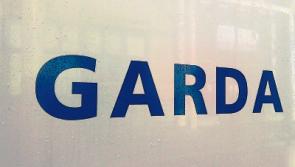 Limerick residents seek help as gangs of teens 'run riot' in estate