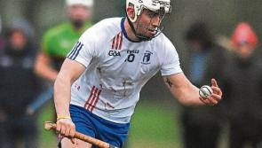 Limerick trio in bid to continue Fitzgibbon Cup dominance
