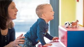 Team at St Gabriel's in Limerick that provide 'lifeline' for parents nominated for award
