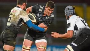 Munster coach Johann van Graan reacts to 'good welcome' for Gerbrandt Grobler