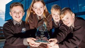 Roboball game wins Intel top prize for Limerick's Scoil Ide