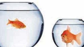 John B Keane: Begrudgers give a great insight into human condition