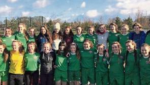 Last ditch efforts mean Limerick girls soccer team's All-Ireland dream lives on