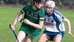 Limerick star nominated for February Camogie Player of the Month award