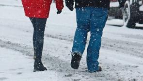 Limerick day care staff brave conditions to check in on housebound elderly
