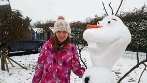 Frozen: One Limerick family's amazing snow creation