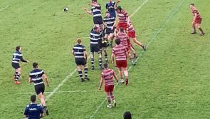 Clinical Glenstal too strong for Crescent College in&nbsp;Munster Schools Senior Cup semi-final