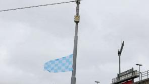 ESB warn Limerick Na Piarsaigh fans over tying flags to electricity poles