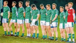 POSTPONED:  Snow forces Limerick and Wicklow league game postponement